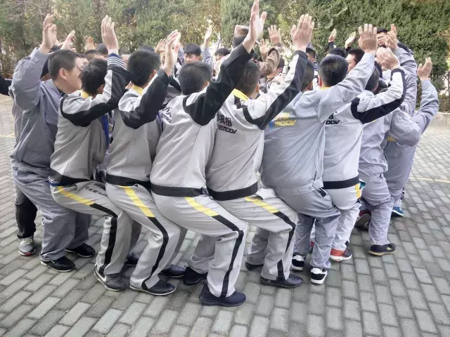 14905971211210692768.png 1.png