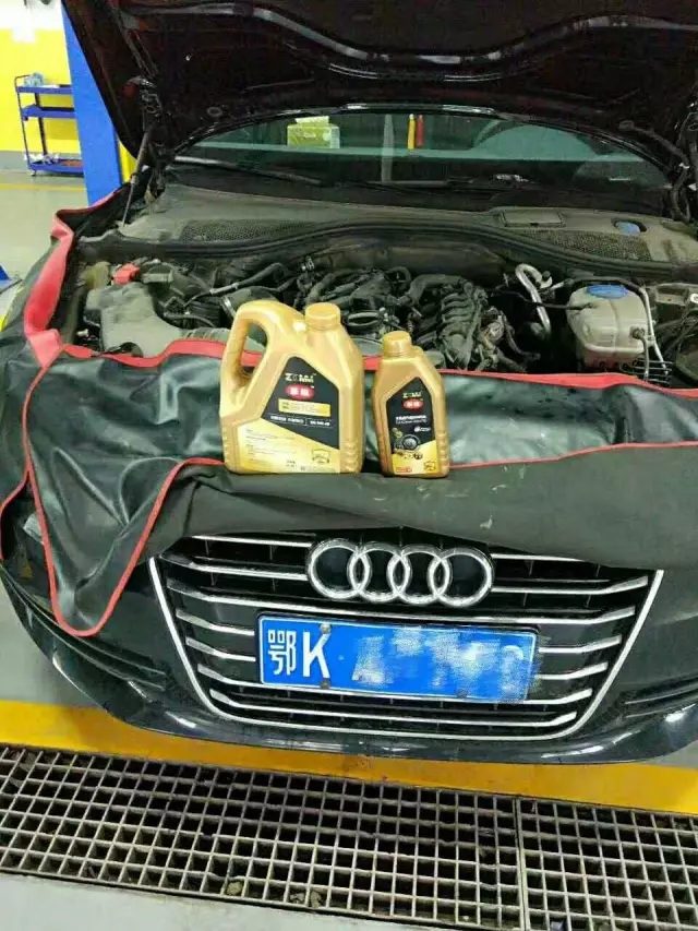 1494486051339821p181.jpg 640.webp (9).jpg