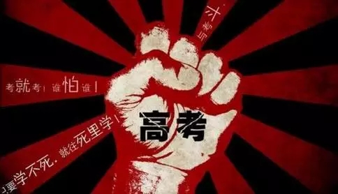 1497590653104390p95D.jpg 640.webp.jpg