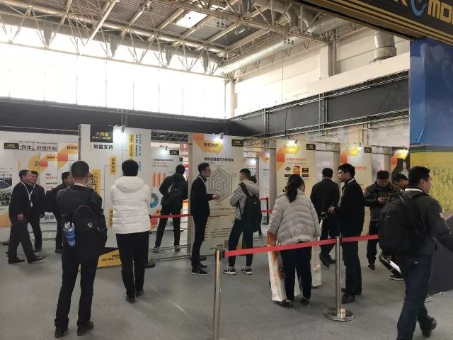 15215147998906716A12.jpg 10.jpg