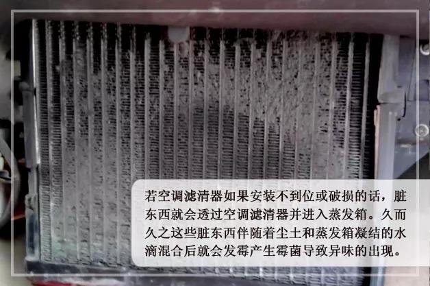 1556509604281427148A.jpg e.jpg