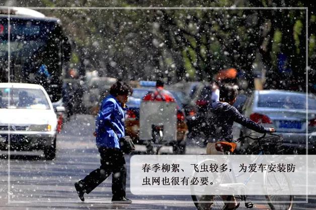 1556509620631448560A.jpg g.jpg