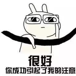 1564717838112424p3DF.jpg 1564717838112424p3DF.jpg