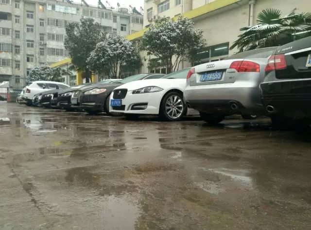 1592990547115122509C.jpg 6.1.jpg