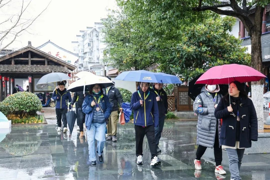 17031369614711119B3D.jpg 17031369614711119B3D.jpg