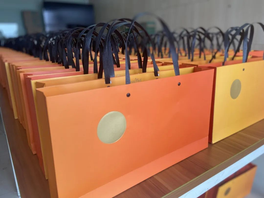 17261208132402036071.png 17261208132402036071.png